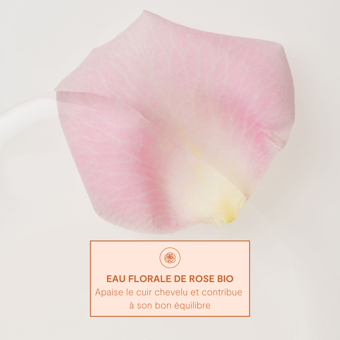 Crème Capillaire Régénérante